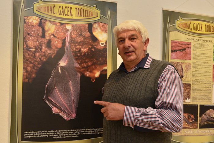 Ilustračný obrázok k článku Výstavy prezentujúce naše okolie: V galérii vedci spojili dve zaujímavé témy