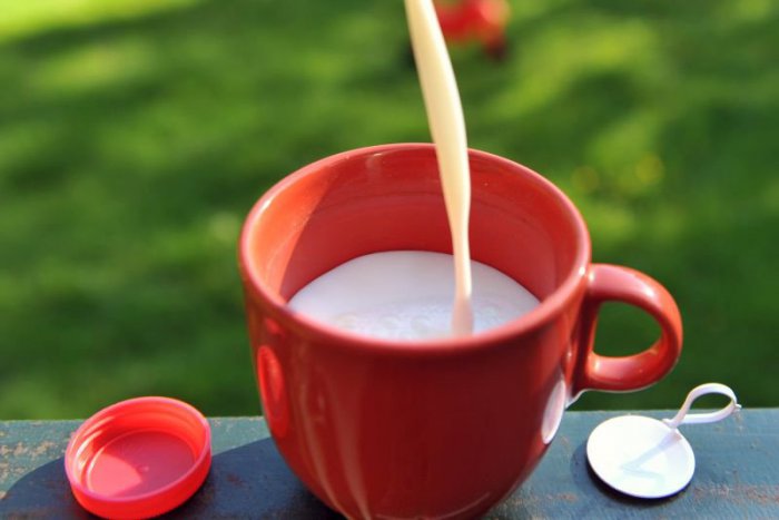 Ilustračný obrázok k článku Biely všeliek či skryté riziko? Kleopatra sa v mlieku kúpala, niekto s ním zaspáva, iný sa zobúdza. 5 mýtov o mlieku