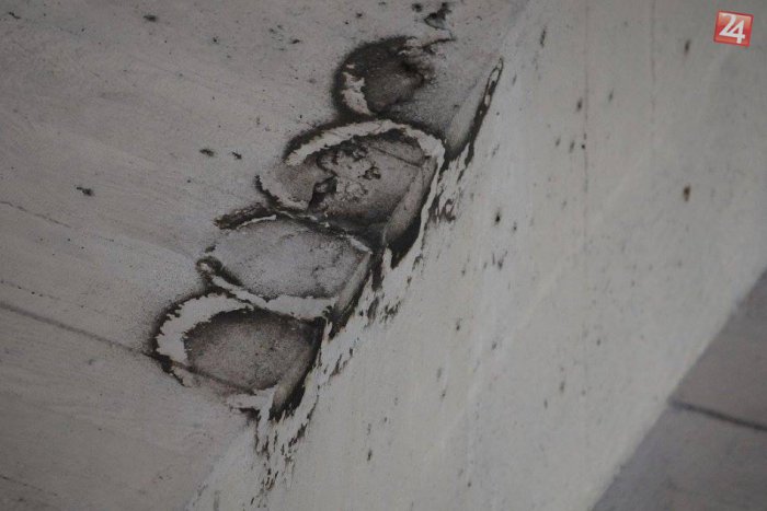 Ilustračný obrázok k článku Záchrana belorítok na Moste SNP: Vtákom zabezpečia stavebný materiál na nové hniezda