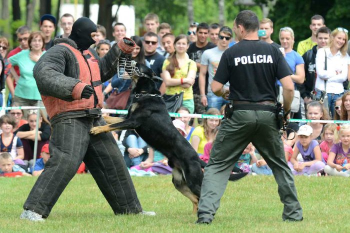 Ilustračný obrázok k článku Zlaňovanie z vrtuľníka i zadržanie páchateľa: Polícia chystá pre deti v Košiciach parádnu akciu!