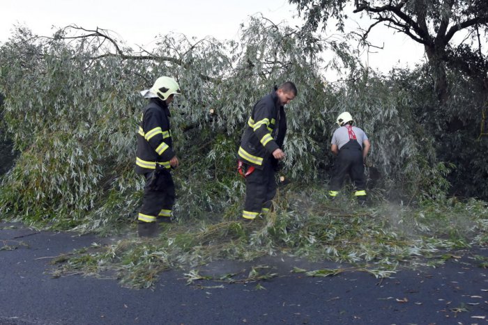 Ilustračný obrázok k článku Cestu na Donovaly uzavreli v oboch smeroch: Na vozovku spadol strom s elektrickým vedením