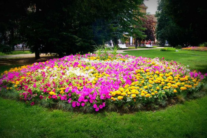 Ilustračný obrázok k článku Košická Hlavná žiari farbami: Príjemné prostredie skrášľujú tisíce kvetov, FOTO