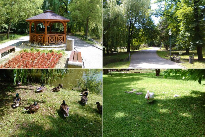 Ilustračný obrázok k článku FOTO: Lamy, fit cesta aj rybník. Park v Lučenci stojí v týchto dňoch za návštevu