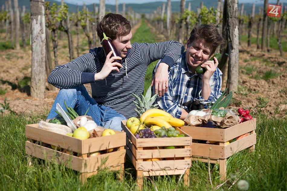 Ilustračný obrázok k článku Nový fenomén debničkovania už aj v Nitre. Čerstvé a chutné výrobky z farmy široko ďaleko nenájdete