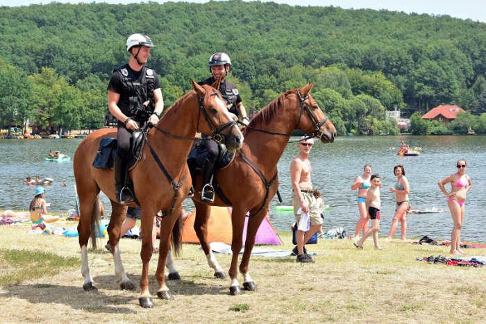 Ilustračný obrázok k článku Mestskí policajti hliadkujú na koňoch už aj v Sade Janka Kráľa