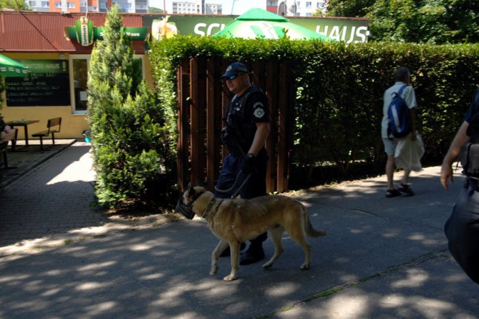 Ilustračný obrázok k článku Policajti kontrolovali ulice Dúbravky. Zamerali sa na alkohol, poriadok a psov