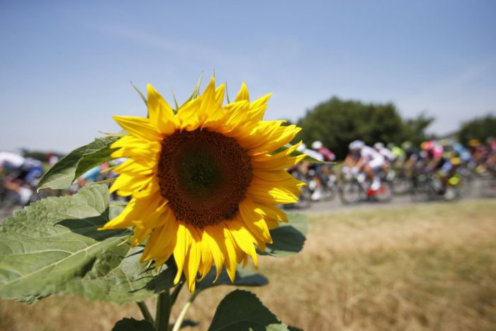 Ilustračný obrázok k článku Z KAŽDÉHO KÚTA: Roztočili to nielen cyklisti, ale aj opozícia a po polstoročí i električky