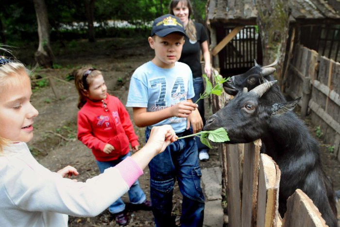 Ilustračný obrázok k článku Zvieratá zo zoo, kúzelník či megašmýkalka: Deti si v Michalovciach prídu na svoje