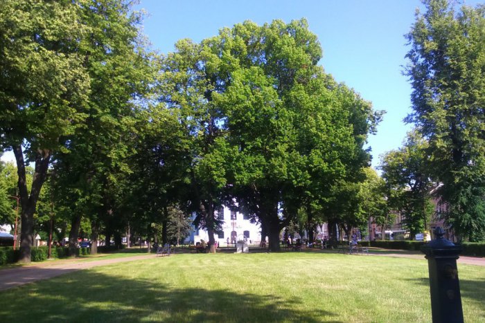 Ilustračný obrázok k článku Jeden klik a budete v obraze: Aké informácie zaujali Novovešťanov najviac?