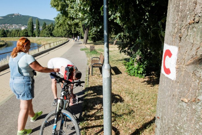 Ilustračný obrázok k článku Nová cyklotrasa spojí obce s priemyselnými parkmi: Má byť dlhá cez 20 kilometrov