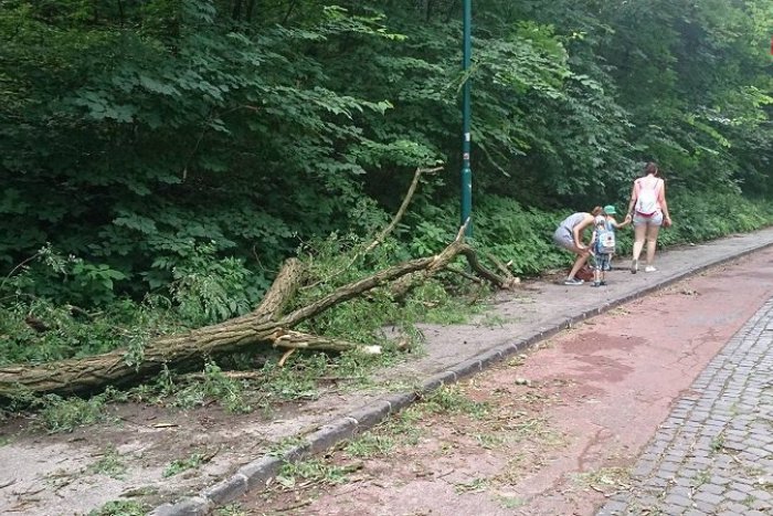 Ilustračný obrázok k článku Cez víkend vyčíňali búrky. Viackrát zasahovali hasiči