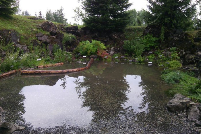 Ilustračný obrázok k článku Tatranská Lomnica prežila prívalový dážď: Botanická záhrada zatvorená