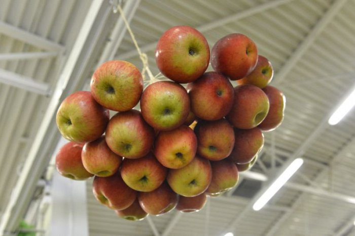 Ilustračný obrázok k článku Slovenské ovocie zdražie. Nahradí ho poľské a priplatíme si najmä za jablká
