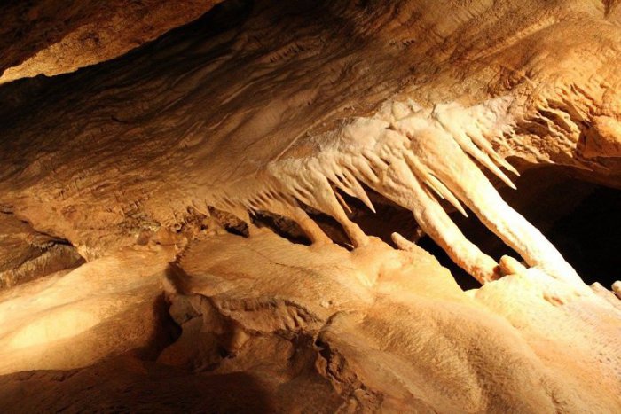 Ilustračný obrázok k článku Jaskyňa Driny ukrýva jedenásť druhov netopierov