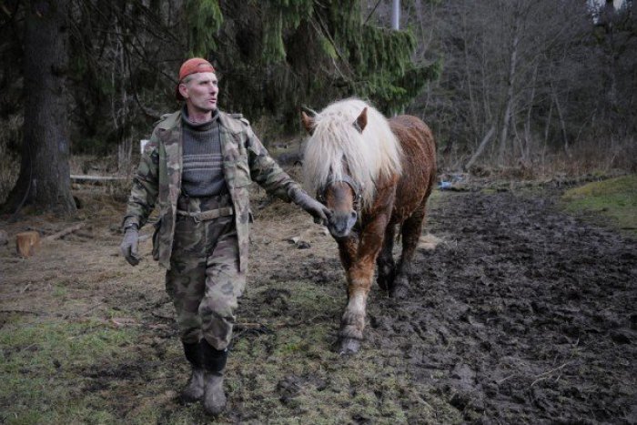 Ilustračný obrázok k článku Kone z Dobšinej vyšľachtené na prácu v lese: Je o ne veľký záujem