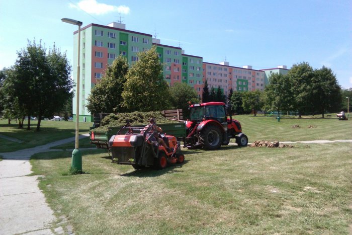 Ilustračný obrázok k článku FOTO: Boj s trávou v uliciach Lučenca. Na zeleň a jej údržbu idú státisíce eur