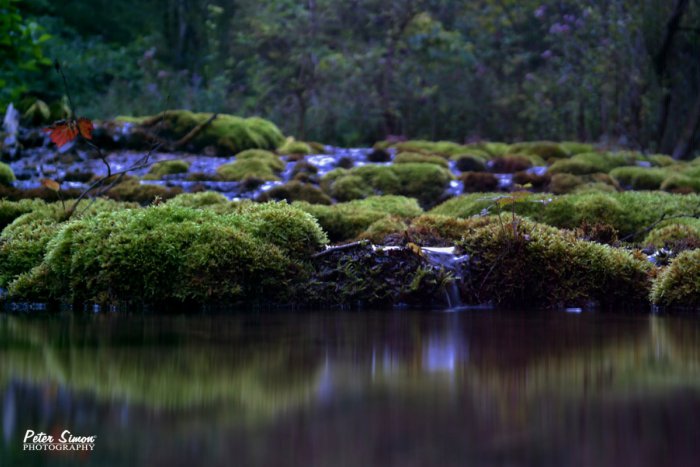 Ilustračný obrázok k článku FOTO plné harmónie: Čaro prírody priamo v srdci Slovenského krasu