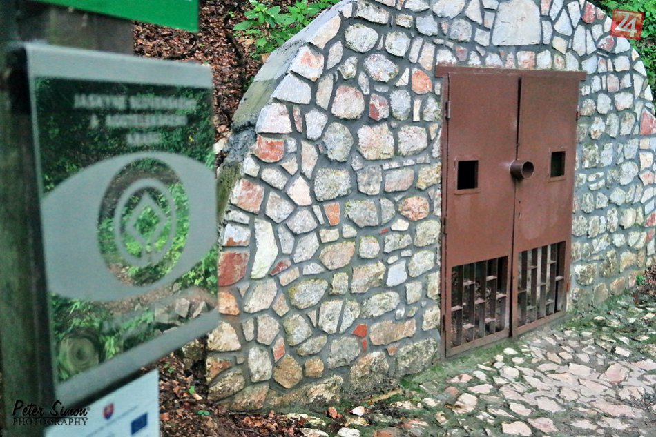 Ilustračný obrázok k článku Pred 25 rokmi sa Slovenská republika stala členom UNESCO: Prírodné dedičstvo reprezentujú aj jaskyne Slovenského krasu