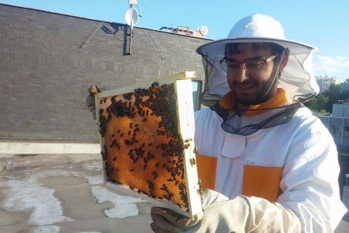 Ilustračný obrázok k článku Slavo o tohtoročnom mede z centra Považskej: Situácia lepšia ako na dedinách!