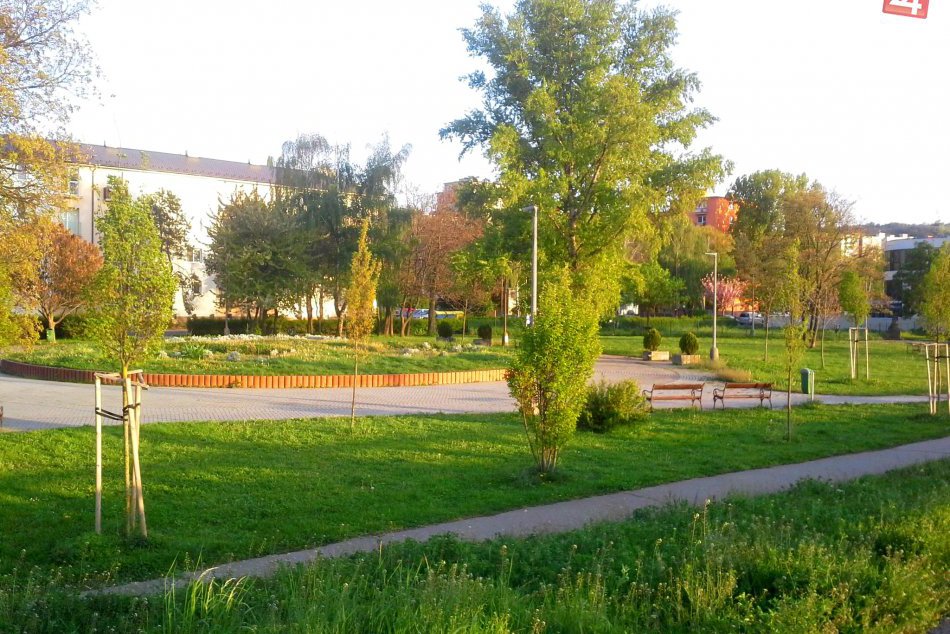 Ilustračný obrázok k článku Miesto, ktoré sme si obľúbili: Aké plány sú s parkom na Dilongovej a okolím?