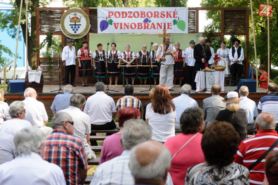 Ilustračný obrázok k článku Nitriansky park navštívili stovky ľudí: FOTO z Podzoborského vinobrania