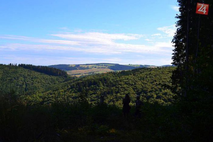 Ilustračný obrázok k článku FOTO: Zelený klenot Horehronia. Unikátny prales len na skok od Brezna