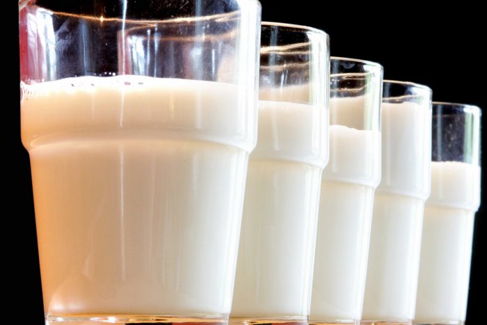 Ilustračný obrázok k článku Deti v Spišskej majú dôležitú úlohu: Pokúsia sa o rekord v pití mlieka!