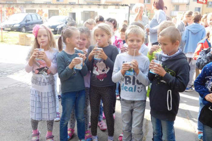 Ilustračný obrázok k článku OBRAZOM: Žiaci vypili vyše tisíc litrov mlieka a vytvorili nový slovenský rekord