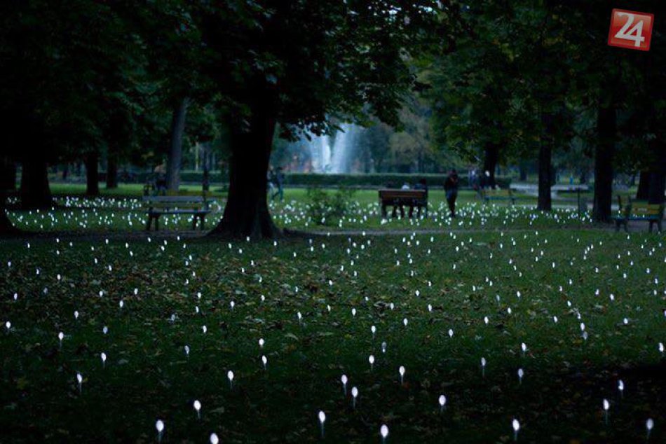 Ilustračný obrázok k článku Festival súčasného umenia Biela noc rozžiari hlavné mesto 8-tisíc žiarovkami