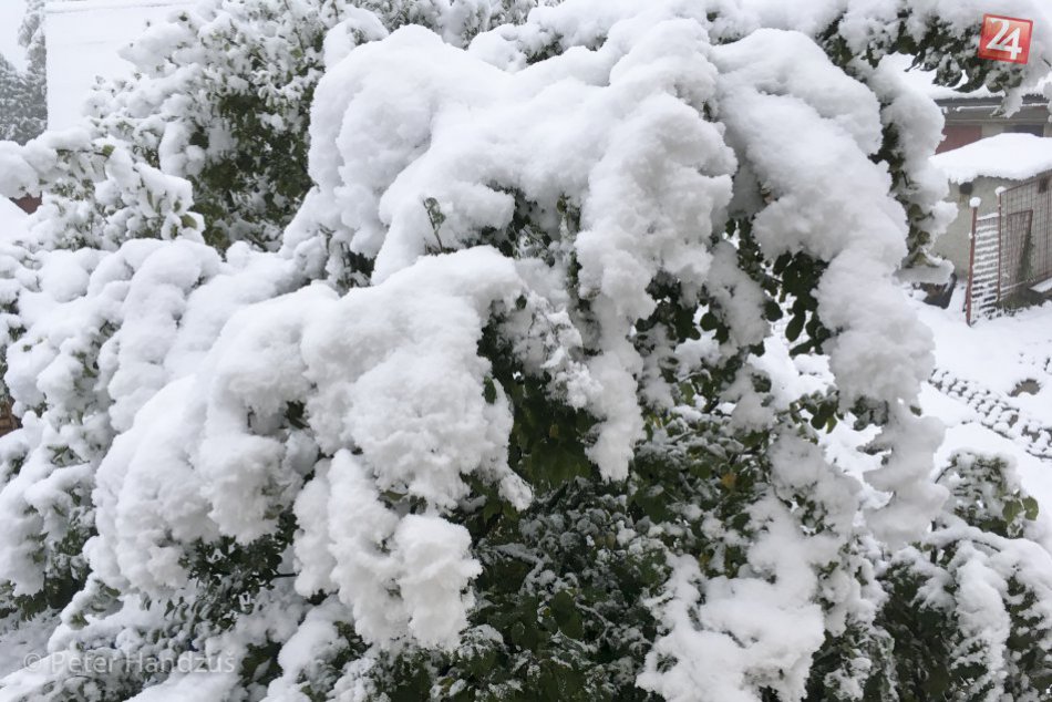 Ilustračný obrázok k článku Horská služba varuje pred silným vetrom. V podhorí ohýba stromy sneh