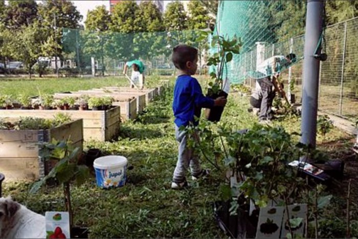 Ilustračný obrázok k článku Trnava má prvú komunitnú záhradu: Ľudia si budú môcť pochutiť v jedlom parku!