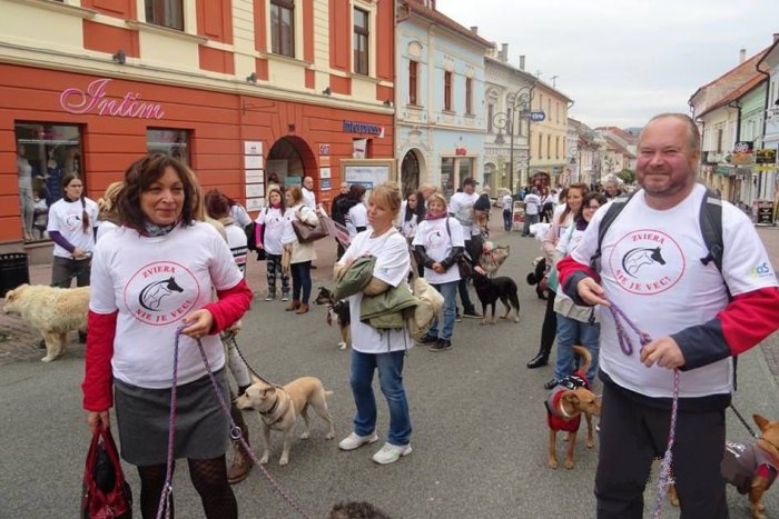 Ilustračný obrázok k článku FOTO: Centrum Bystrice zaplnili psíky. Milovníkov zvierat spojil nevšedný pochod