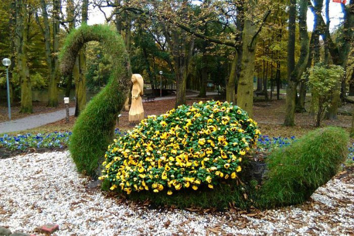 Ilustračný obrázok k článku FOTO: Lučenecký park láka aj na jeseň. Zelená labuť nádherne zakvitla