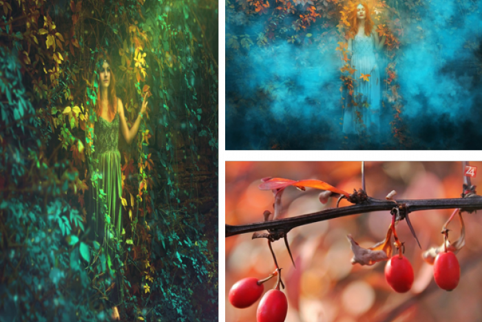 Ilustračný obrázok k článku Z REGIÓNOV: Mladá východniarka vdýchla jeseni nevšedné umenie, Bystričan farby