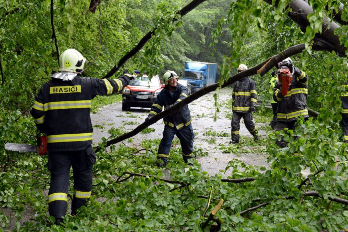 Ilustračný obrázok k článku Tatry zasiahol silný vietor: V Štrbe popadali stromy na odparkované autá