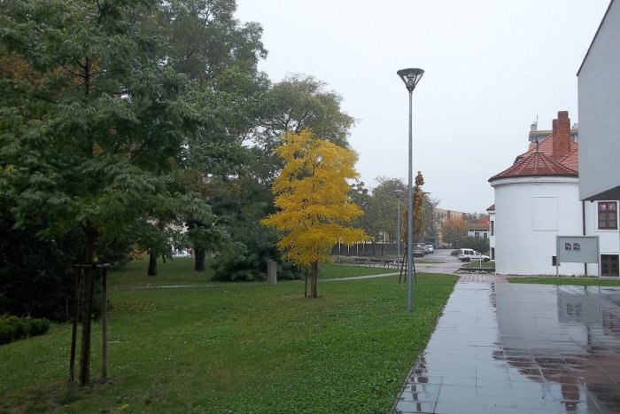 Ilustračný obrázok k článku Súťaž o najkrajšiu obec: Tri dediny z okresu Šaľa, ktoré to dotiahli najvyššie