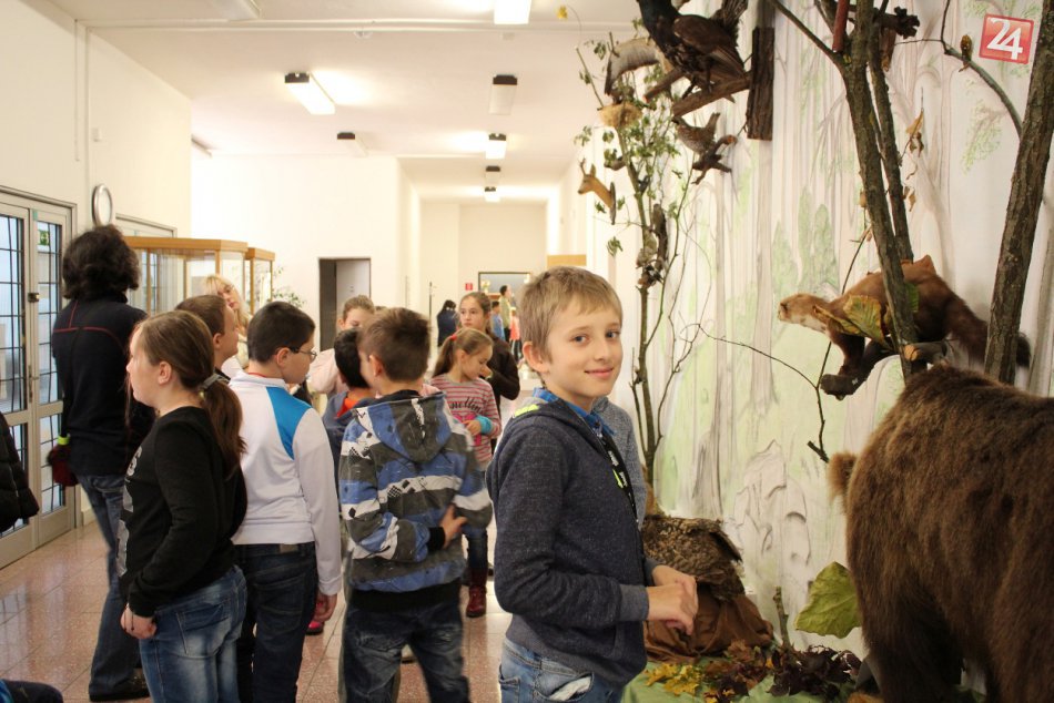 Ilustračný obrázok k článku Múzeum v Považskej s novou výstavou: Priblíži nielen tunajší nebezpečný svet