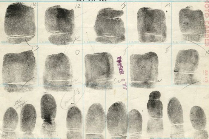 Ilustračný obrázok k článku Unikátna syntetická DNA pasta pomôže policajtom odhaliť zlodejov áut i bicyklov
