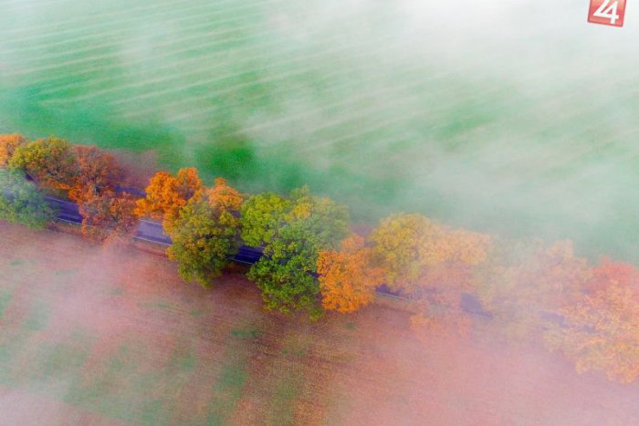 Ilustračný obrázok k článku KURIOZITA DŇA: Maliarka jeseň vyfarbila prírodu do pestrej palety odtieňov