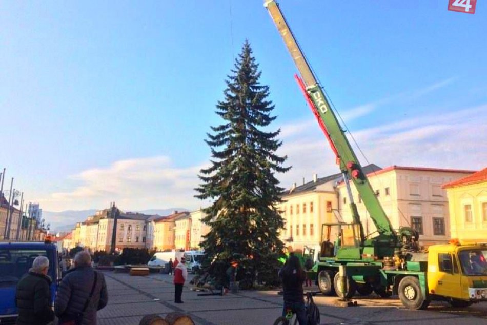 Ilustračný obrázok k článku FOTO: Bystrica už má svoj vianočný stromček. Námestie zdobí poriadny krásavec