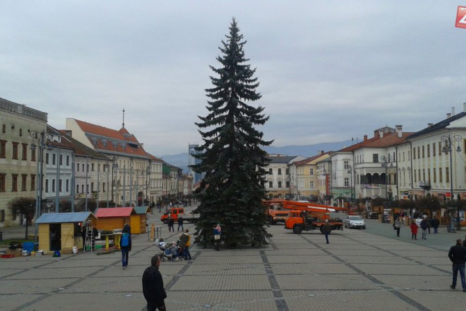 Ilustračný obrázok k článku Vianočné stromčeky neskončia v odpade. Bystričanom po premene poslúžia v uliciach