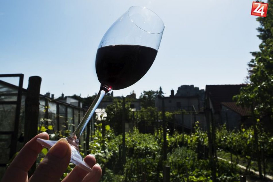 Ilustračný obrázok k článku Na Čermáni bude veselo: Ochutnávať sa bude obľúbené červené víno