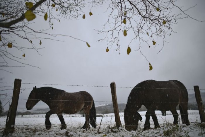 Ilustračný obrázok k článku RANNÁ ŠTVORKA: November sa lúči zamračenou oblohou a aj snežením