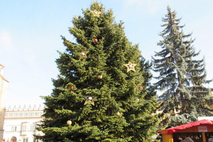 Ilustračný obrázok k článku Do Prešova zavíta Mikuláš: S deťmi v meste rozsvieti vianočný stromček