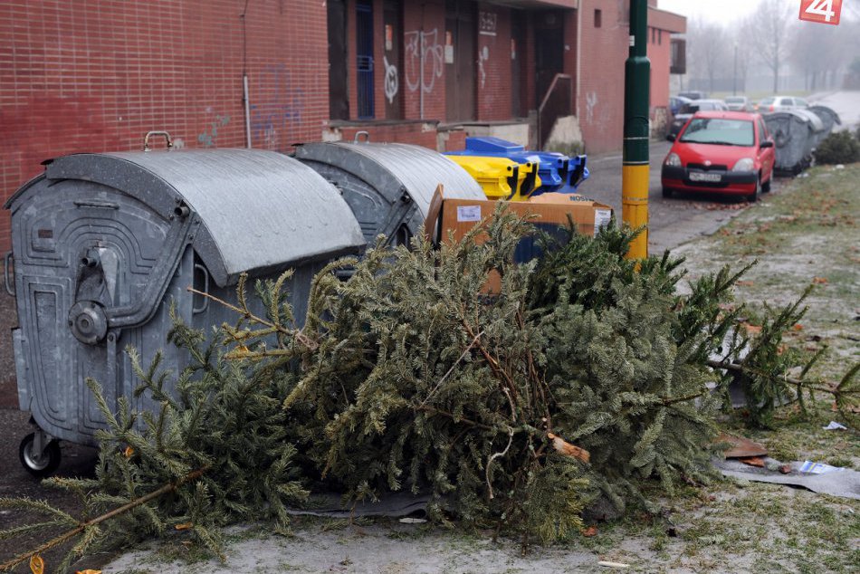 Ilustračný obrázok k článku Spoločnosť OLO vyzbierala takmer 50 ton vianočných stromčekov