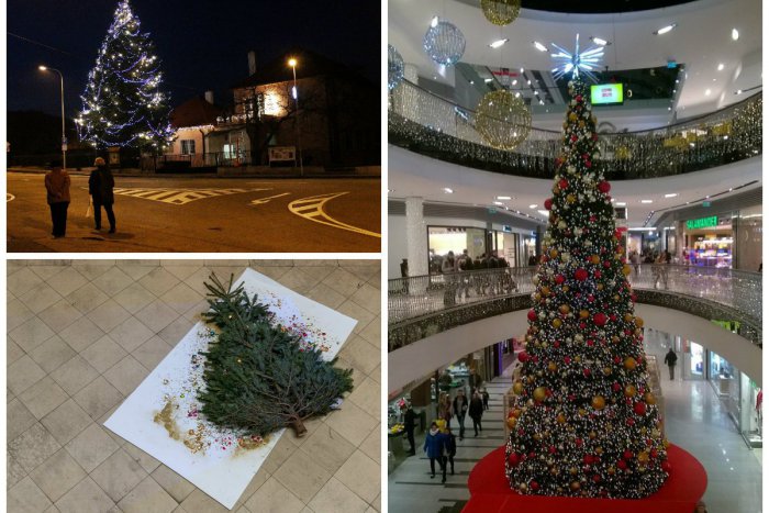 Ilustračný obrázok k článku Rozhodli ste o najkrajšom vianočnom stromčeku v Bratislave. Tu je víťaz
