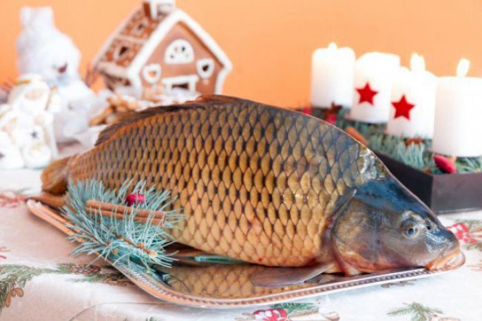 Ilustračný obrázok k článku Nemáte ešte kapra na Vianoce? Poradíme vám, kde kúpite zaručene čerstvé ryby
