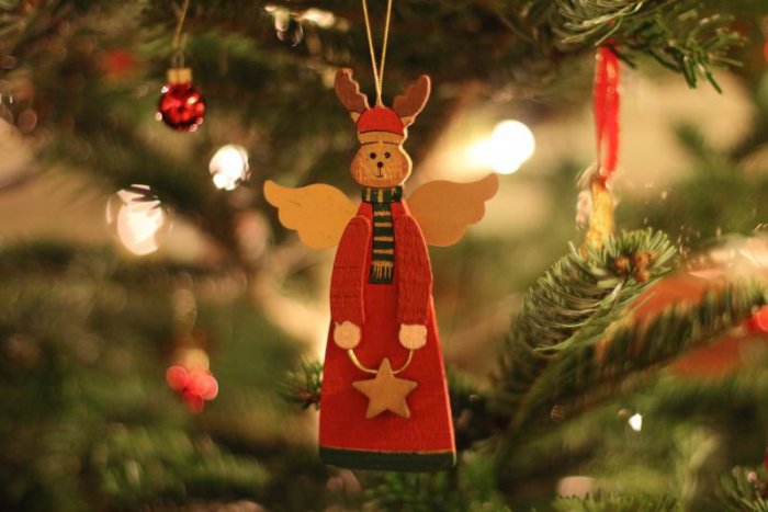 Ilustračný obrázok k článku Bohovia prebývajú v stromoch: Tradičný vianočný stromček prešiel dlhou históriou
