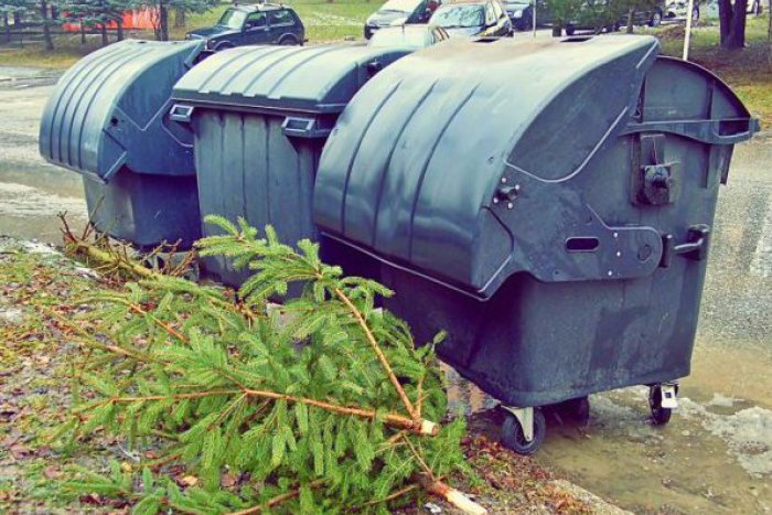 Ilustračný obrázok k článku Lúčenie s vianočnými stromčekmi: Radnica v Zámkoch organizuje ich zber
