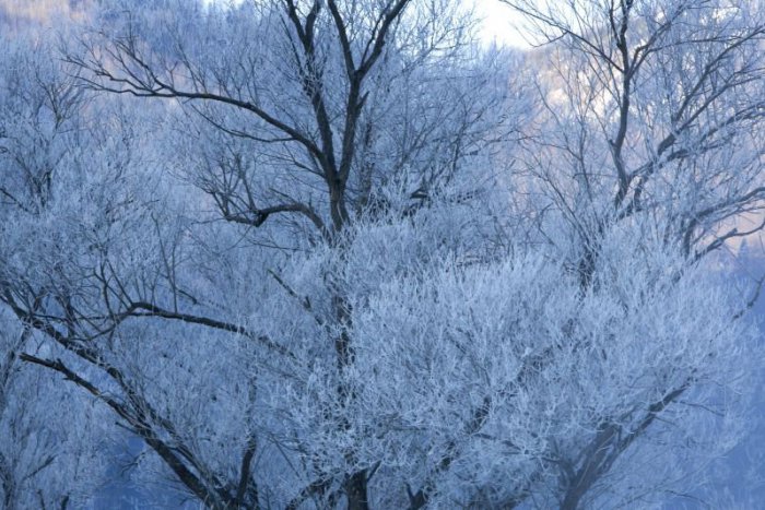 Ilustračný obrázok k článku Zima bude naďalej sužovať Slovensko: V noci a skoro ráno môže byť až -17 stupňov